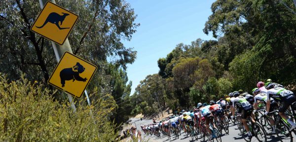 Extreme hitte zorgt voor verdeelde reacties in peloton Tour Down Under