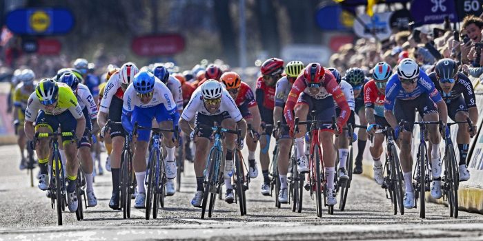 De Scheldeprijs is het officieuze WK voor sprinters