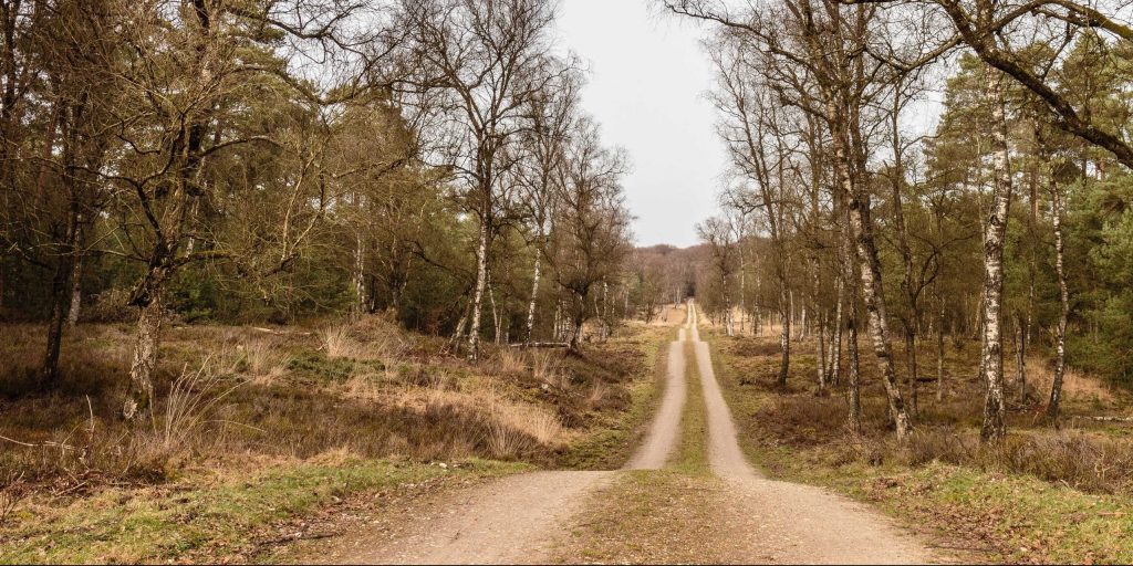 Kroondomein het Loo weer gesloten, maar deze gravelpaden blijven open