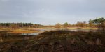 Nieuwe gravelroute door Land van Maas en Waal voor recreatie én tegen hangjeugd