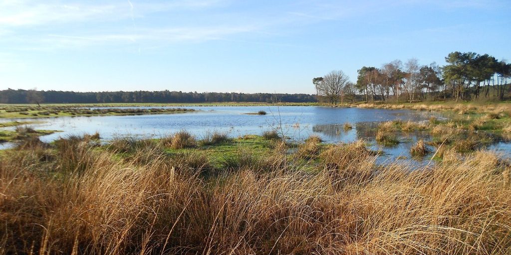 In Grenspark Kalmthoutse Heide zijn alle mountainbike-routes verbonden