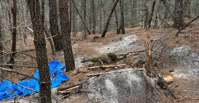 Illegale mouintainbike-parcoursen ontdekt in Schoorlse Duinen